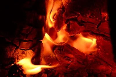 DSC_0128 (Large).JPG